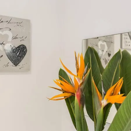 Cosy Appartamento