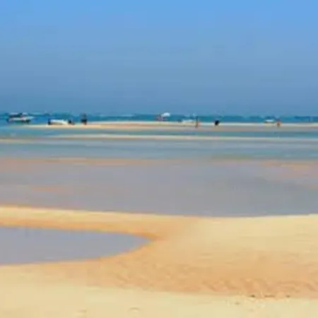 Cosy * فارو