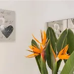 Cosy Apartament